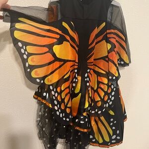 🦋 Orange Butterfly Costume